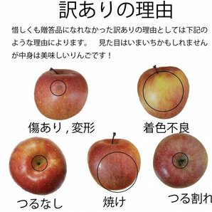 青森県産 家庭用 りんご ふじ 訳あり 10kg 送料無料！の画像5