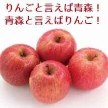 青森県産　家庭用　りんご　ふじ　訳あり　10kg　送料無料！_画像6