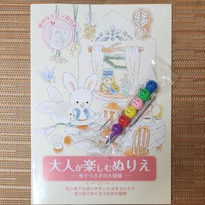 大人が楽しむぬりえ 双子うさぎの大冒険★アート/絵画/趣味/ホビー/ぬりえ　色鉛筆付き