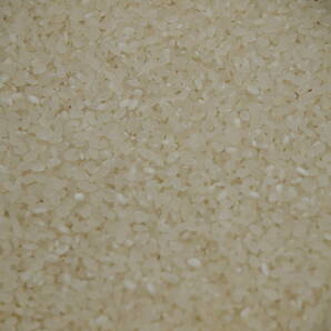 有機栽培米 令和5年 コシヒカリ 26.0キロ白米 送料無料の画像4