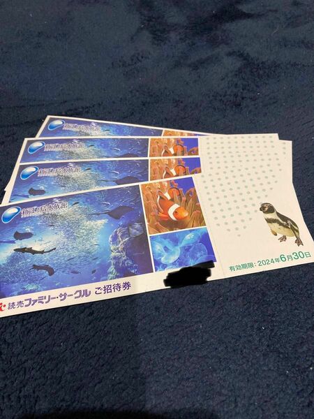 新江ノ島水族館　 ご招待券　4枚