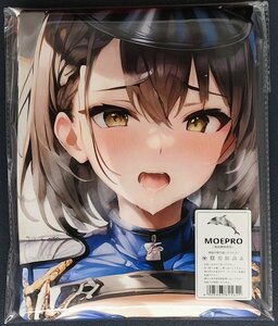 ▲ボルチモア 16581▲コスプレ▲タペストリー・抱き枕カバー系・超大バスタオル・毛布・ポスター▲超大105×55cm