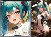 ▲初音ミク 13187▲コスプレ▲タペストリー・抱き枕カバー系・超大バスタオル・毛布・ポスター▲超大105×55cm_画像1