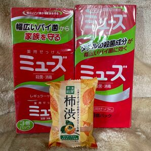 薬用せっけん ミューズ レギュラー 95g×3個入　100g3個入り　柿渋石鹸1個　