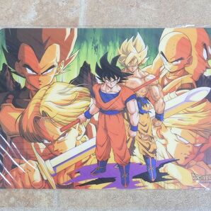 未使用品! ドラゴンボールZ/DRAGON BALL Z 下敷き 2枚セット animetopia 【7598y】の画像2