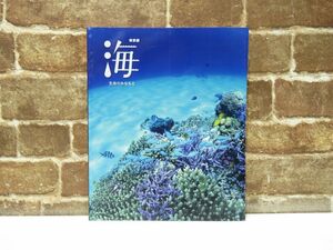 特別展 海 The OCEAN 生命のみなもと / The Original Life 2023-2024 図録 本 【687mk】