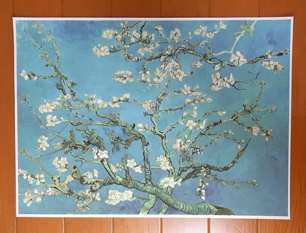 ゴッホ「花咲くアーモンドの木の枝」 キャンバスポスター　31×43cm