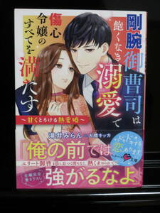 ｂ）剛腕御曹司は飽くなき溺愛で傷心令嬢のすべてを満たす　滝井みらん　ベリーズ文庫