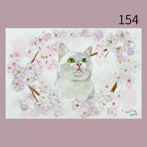 猫の絵154 水彩画 原画 白猫と桜 絵はがき