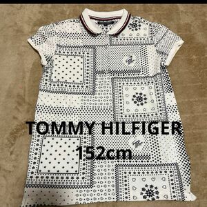 152cm TOMMY HILFIGER　襟付きポロシャツ トミー ヒルフィガー ポロシャツ トップス キッズ 半袖シャツ