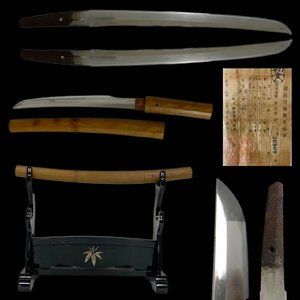 C0400C 脇差 特別保存刀剣 刃長33.6cm 反り0.6cm登録書 居合刀 刀剣 太刀 縁頭 拵え 鍔 時代物