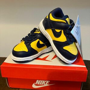 ☆NIKE DUNK LOW(TDE)8cm 新品タグ付き☆