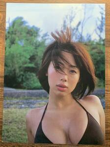 【厚手ラミネート加工】井上和香　水着　A4変サイズ　雑誌切り抜き 9ページ　zavada 2004 06【グラビア】-h6