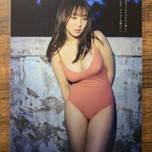 【厚手ラミネート加工】沢口愛華 水着 雑誌切り抜き １０ページ サイズB5 週刊プレイボーイ【グラビア】-E16の画像5