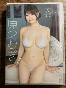 [ idol DVD]. pile . pongee spice visual { gravure } i1