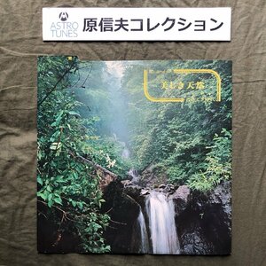 原信夫Collection 美盤 オムニバス LPレコード 美しき天然 原信夫とシャープス＆フラッツ 中沢佳 江川マスミ 松本浩 羽鳥幸次