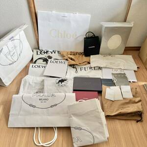 断捨離 CHANEL LOEWE Dior PRADA BALLY Chloe CELINE Salvatore Ferragamo Cartier バッグ用 保存袋 紙袋 ギャランティカード ケース