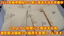 送料無料│ヒメタニシSMサイズ5匹+死着保証5匹│メダカ水槽のコケ取りや水質浄化│亀の活餌│鯉の釣り餌【ゆうパケット│識別番号A1】_画像5