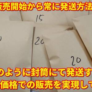 送料無料│ヒメタニシSMサイズ300匹+死着保証5匹│メダカ水槽のコケ取りや水質浄化│亀の活餌│鯉の釣り餌【ゆうパック│識別番号S2】の画像5