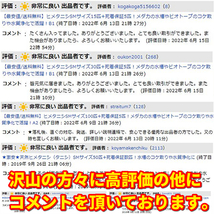 送料無料│ヒメタニシSMサイズ400匹+死着保証5匹│メダカ水槽のコケ取りや水質浄化│亀の活餌│鯉の釣り餌【ゆうパック│識別番号S2】_画像6