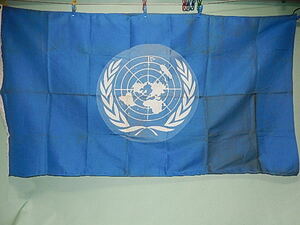 国際連合旗　U.S.A.　ANNIN&CO　88cm×154cm　ヴィンテージフラッグ