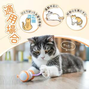 Cheerble 猫おもちゃ 電動ねずみ ウィキッドマウス 自動式 光るしっぽ インタラクティブおもちゃ USB充電式 簡単操作 猫 ねずみ オレンジの画像4