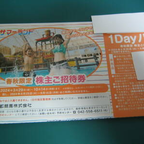 東京サマーランド 株主優待 １Dayパス １枚 ６枚まで（6/25～9/16まではご使用出来ません）春秋限定の画像1