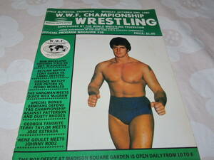 ネコポス可 W.W.W.F. Championship Wrestling　1980　20th　プロレス関係