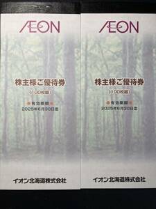 イオン北海道　株主優待　20000円分