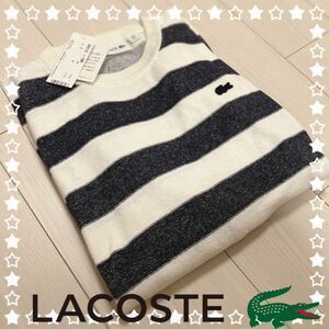 メンズ　ラコステ　ボーダー　セーター LACOSTE