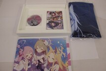 053 s7750 ブルーアーカイブ ブルアカ Blue Archive 2nd Anniversary Tribute Fan Book 中古品_画像2