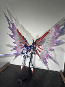 RG デスティニーガンダム 光の翼