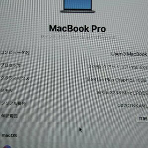 関西 Ω Apple MacBook Pro Retinaディスプレイ 2000/13.3 MWP42J/A 激安価格!! この機会にぜひ!! J493820 Oの画像2
