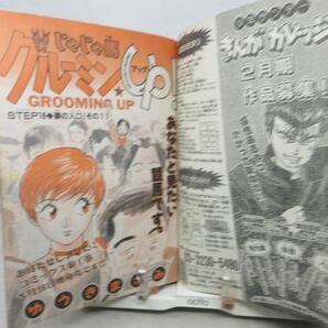 AAM■週刊少年サンデー 1995年3月1日 No.11 京野ことみ、H2、じゃじゃ馬グルーミンUP、砂漠の野球部◆可、劣化多数有■の画像7