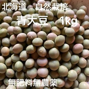 青大豆　 無農薬　無肥料　自然栽培　北海道産　2023年産　大人気　1kg