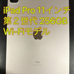 iPad Pro 11インチ 第２世代 Wi-Fiモデル 256GB