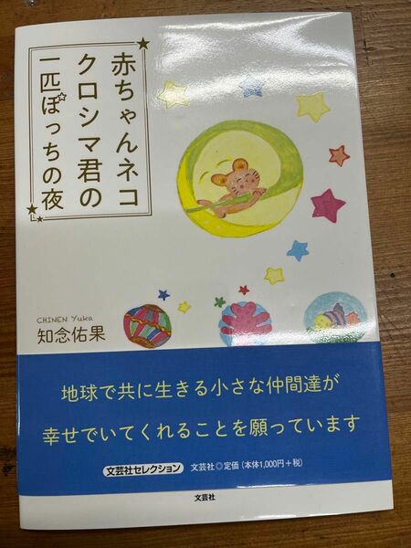 赤ちゃんネコ クロシマ君の一匹ぽっちの夜