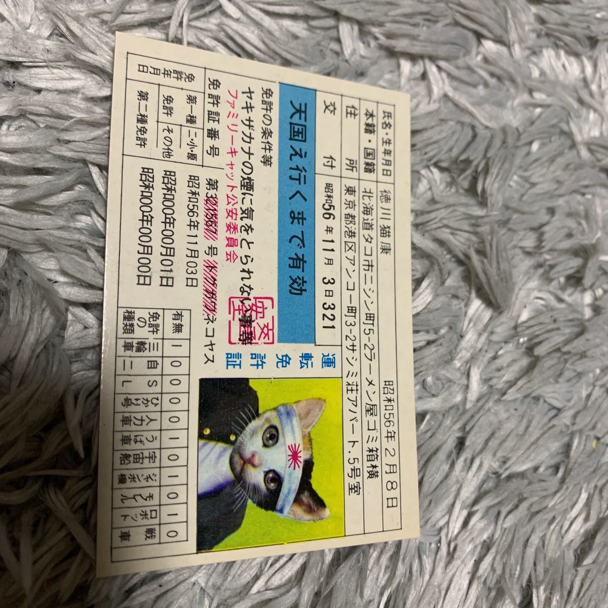 2025年最新】Yahoo!オークション -なめ猫 免許証 当時の中古品 2025年最新】Yahoo!オークション -なめ猫 免許証 当時の中古品