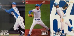 プロ野球チップスカード2024まとめ売り　北海道日本ハムファイターズ