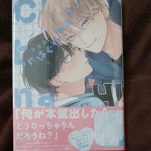 未開封　ちぐはぐなキス　特装版　末広マチ　小冊子付き　 BLコミック