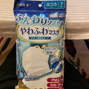 阿蘇製薬 デルガード やわふわマスク ふつうサイズ 個別包装 7枚入