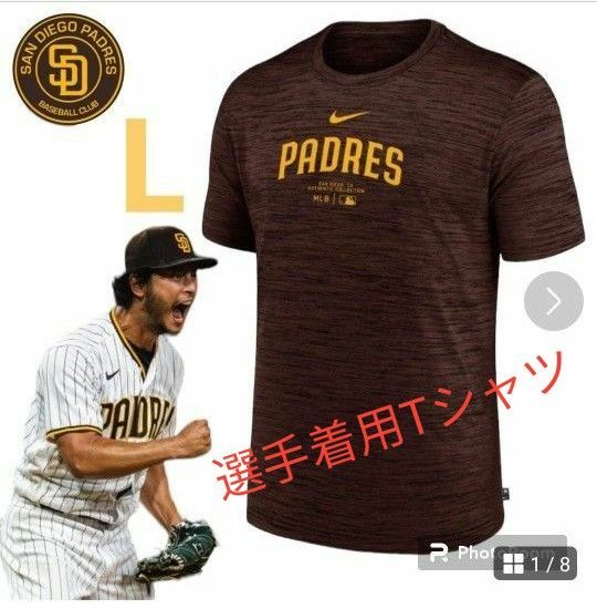 新品 サンディエゴ・パドレス 選手支給品 Tシャツ Lサイズ ダルビッシュ有