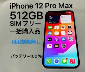 iPhone 12 Pro Max 512GB SIMフリー パシフィックブルー 青 一括購入 利用制限無し バッテリー100％