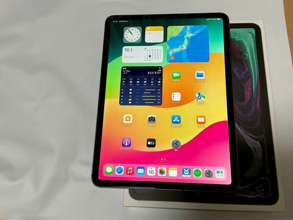 Apple iPad Pro 11 インチ　第1世代 64GB セルラー Wi-Fi スペースグレイ Cellular 利用制限無