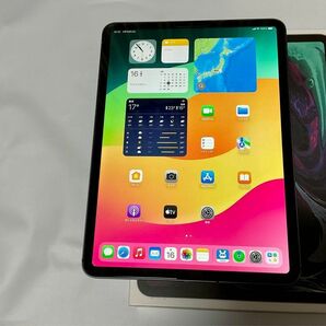 Apple iPad Pro 11 インチ　第1世代 64GB セルラー Wi-Fi スペースグレイ Cellular 利用制限無