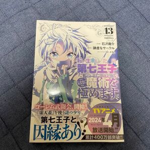 転生したら第七王子だったので気ままに魔術を極めます　13巻