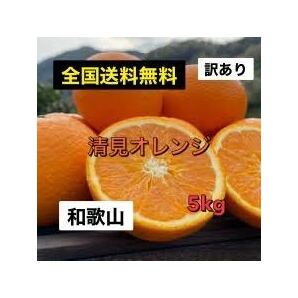 全国送料無料 今シーズン最終 和歌山 清見オレンジ 10kgの画像1