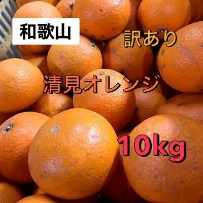 大人気　和歌山　極甘　清見オレンジ　10kg 送料無料