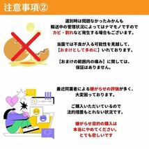 甘い抜群　和歌山　清見オレンジ　訳あり　10kg 送料無料_画像4