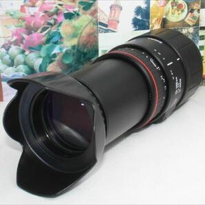 ど迫力の超望遠レンズシグマ 70-300mm ソニー aマウント用